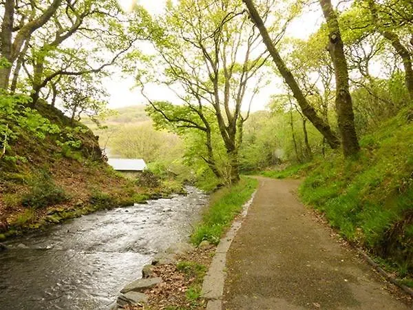 Dolgoch Falls