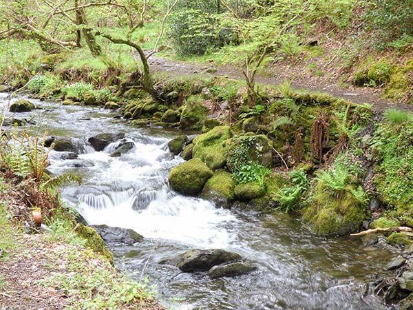 Dolgoch Falls * Abergynolwyn