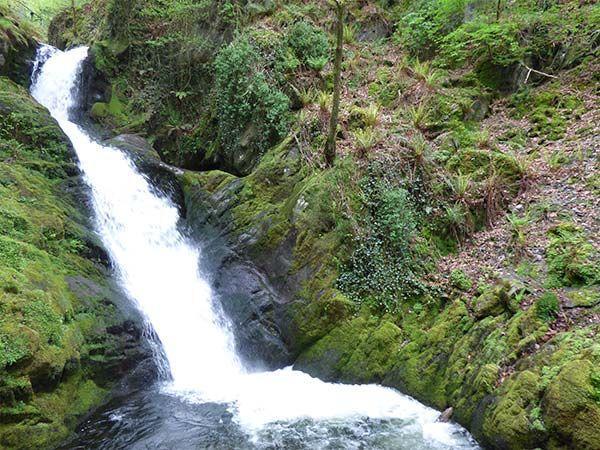 Dolgoch Falls * Abergynolwyn