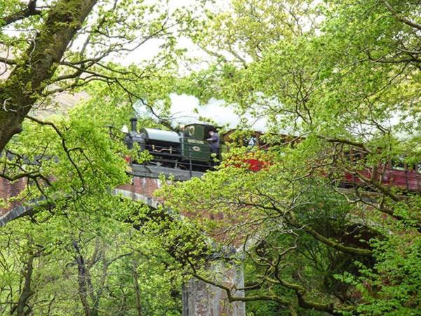Dolgoch Falls Abergynolwyn